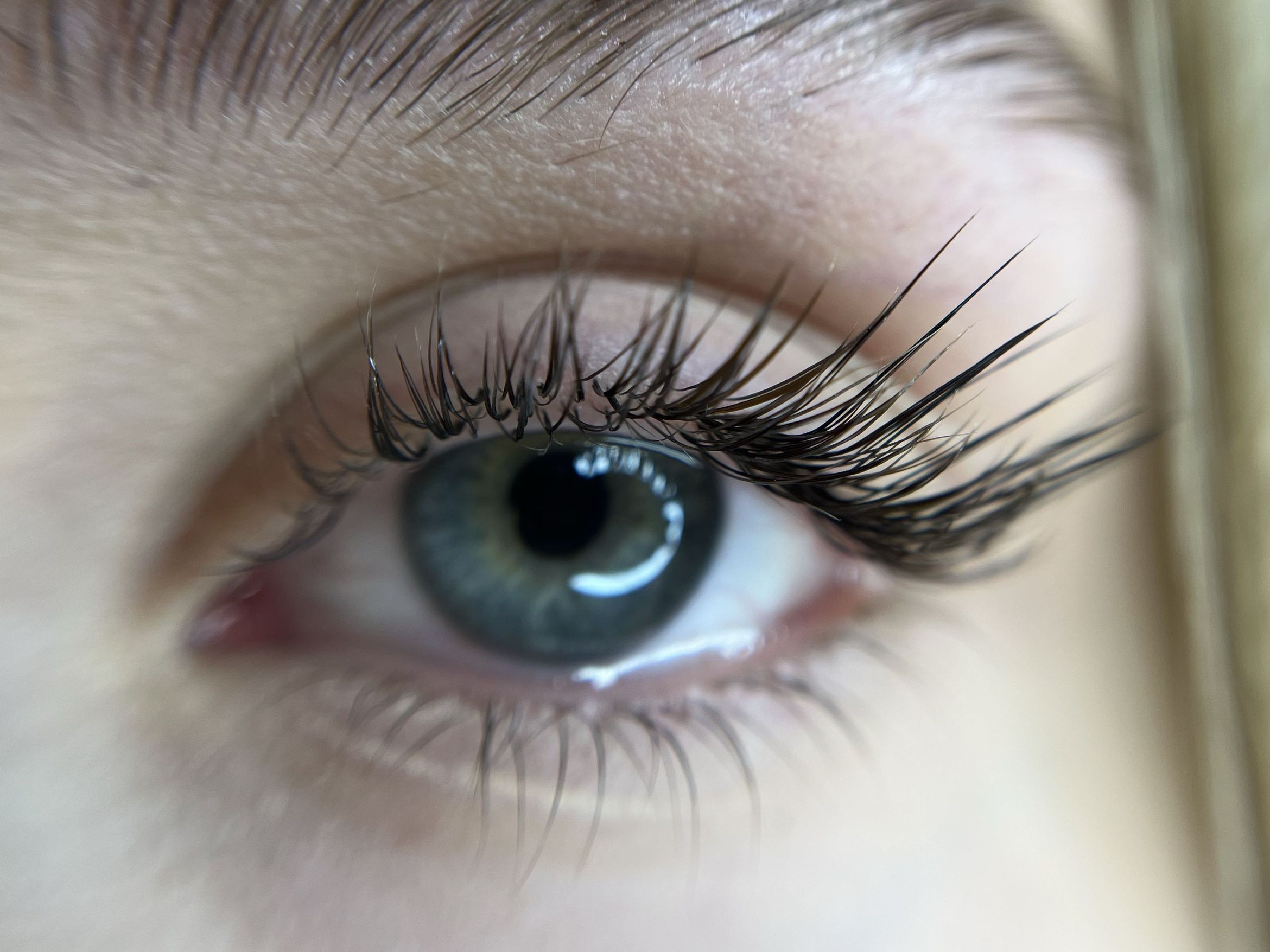 Lash_Studio.by.Skorobagata