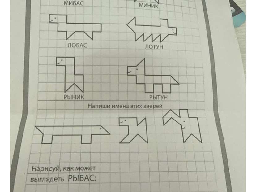 Zdjęcie z portfolio